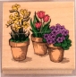 Hero Arts Topfblumen (used)