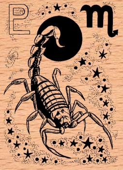 Astro Skorpion / Sternzeichen