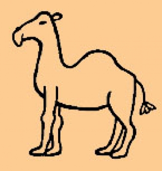 Mini Kamel
