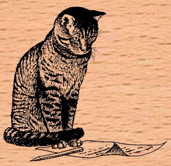 Briefcat / Katze