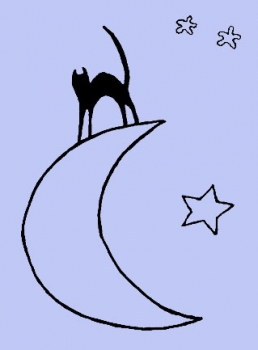 Katze im Mond