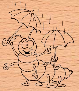 Singing in the rain / Raupe