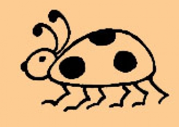 Mini Kleiner Käfer
