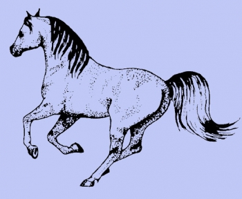 Galloppierendes Pferd