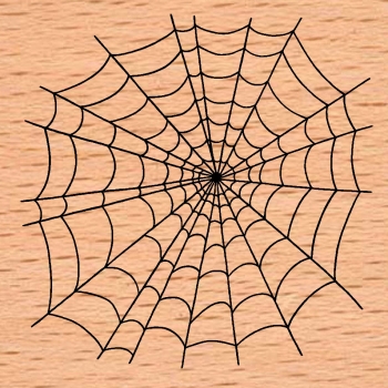 Riesiges Spinnennetz