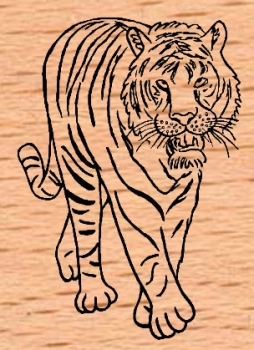Tiger Front