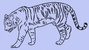 Tiger Seite
