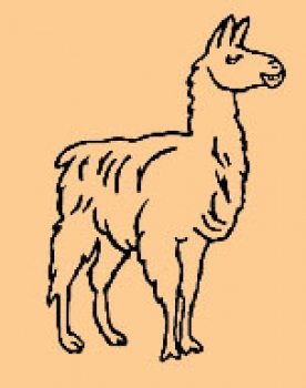 Mini Lama
