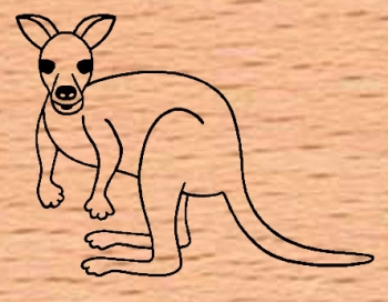 Kleines Känguru