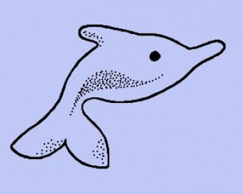 Streifendelphin
