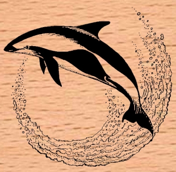 Sanduhr Delphin