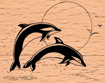 Delphin Paar