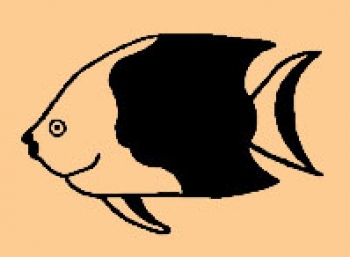Mini Schwarzer Fisch
