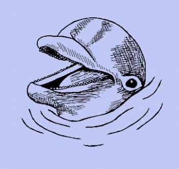 Lachender Delphin