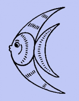 Bogenfisch