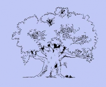 Kleiner dicker Baum