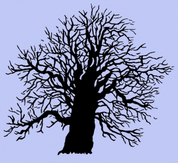 Schwarzer Baum