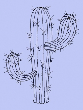 Großer Kaktus
