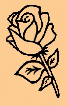 Kleine Rose