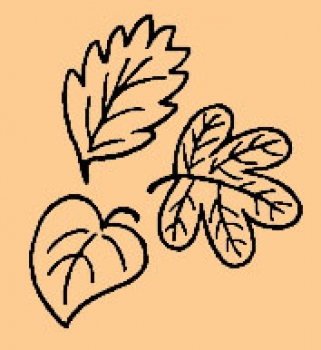 Mini Blätterwirbel