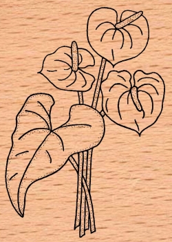 Roter Blumenstrauß / Anthurie