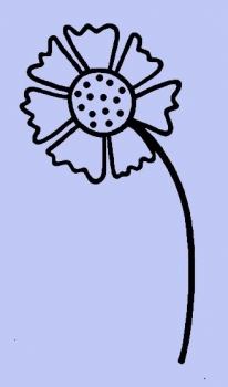 Lange gewellte Blume