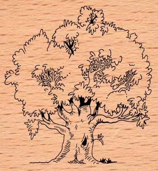Riesenbaum