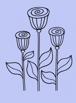 Drei Tulpen