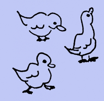 Drei Vögel
