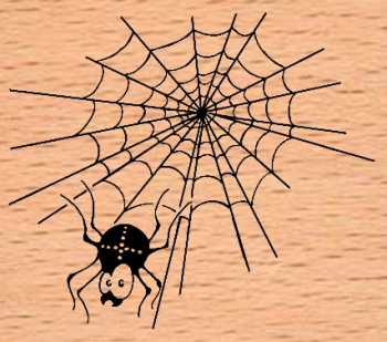 Kleines Spinnennetz