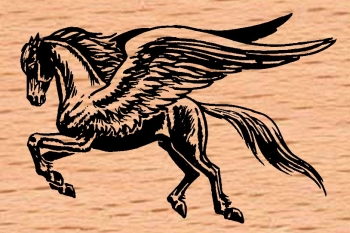 Schwarzer Pegasus