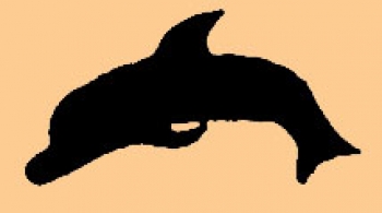 Mini Schwarzer Delphin