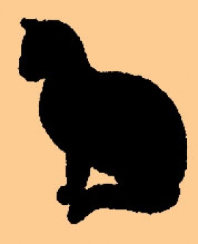 Mini Schwarze Katze Seite