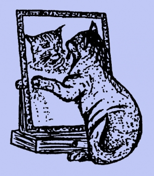 Katze vorm Spiegel