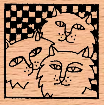 Katzenquadrat