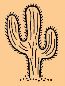 Stehender Kaktus