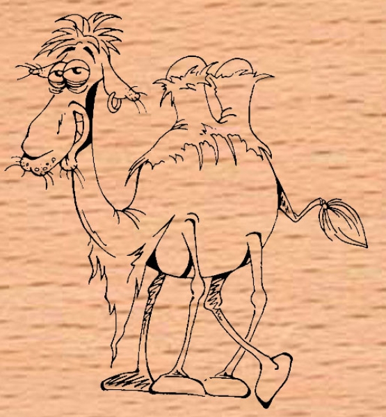 Camel-Joe / Kamel