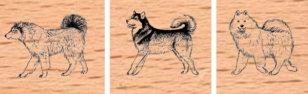 Huskies Set II