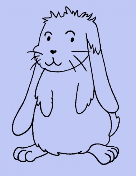 Süßes Häschen / Hase