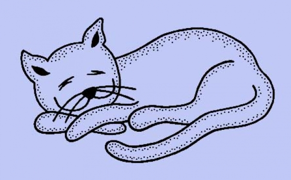 Winterschlaf / Schlafende Katze