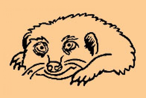 Mini Liegendes Erdmännchen