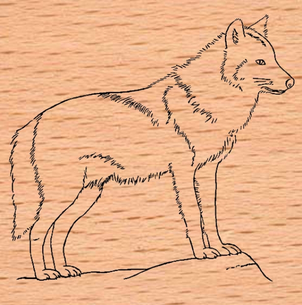 Großer Wolf