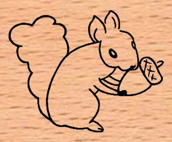 Kleines Eichhörnchen