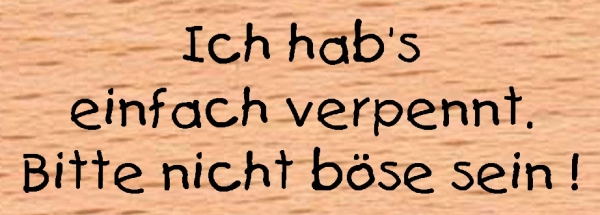 Verpennt / Ich hab's einfach verpennt