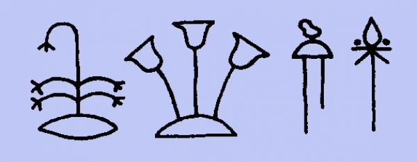 Hieroglyphe II