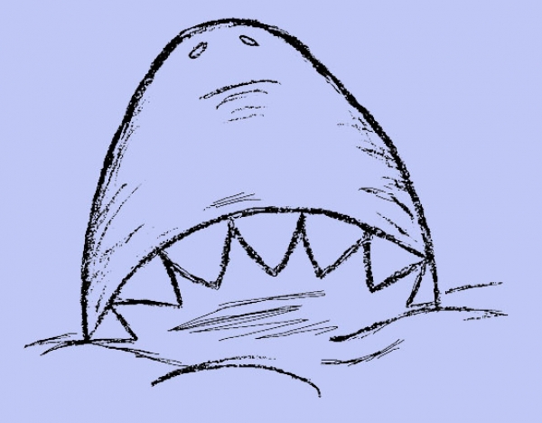 Angriffslustiger Hai