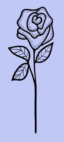 Rote Rose