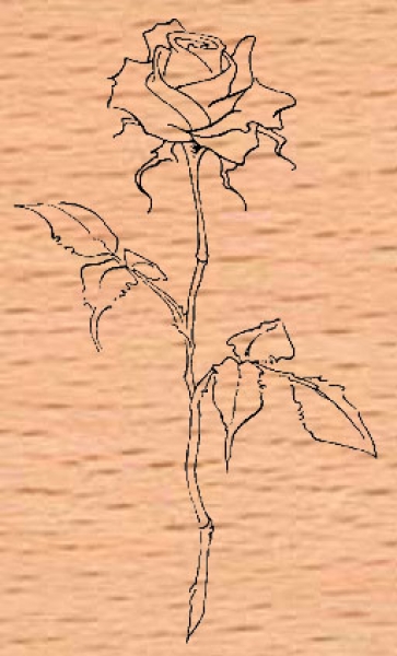 Kleine langstielige Rose