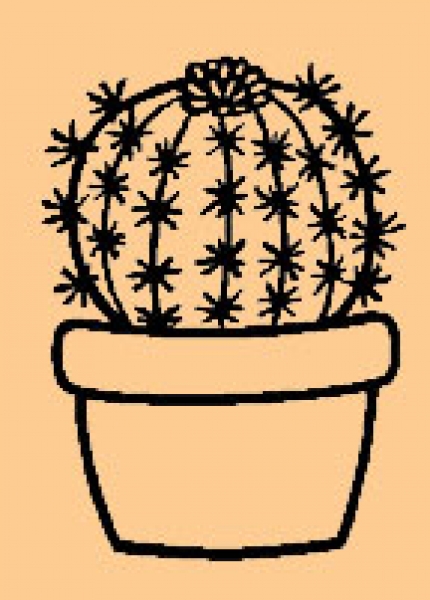 Mini Runder Kaktus