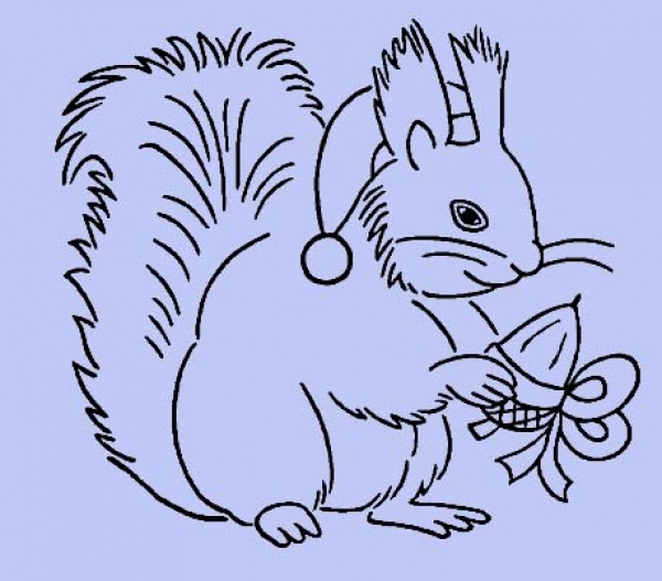 Winter Eichhörnchen